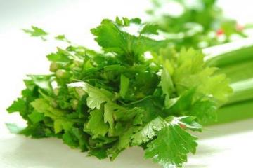 Сельдерей листовой - рецепты Блюда из зеленого сельдерея