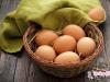 По секрету всему свету: сколько грамм белка в яйце?