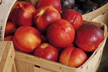 Секреты правильного хранения персиков Как сделать чтобы нектарины дозрели